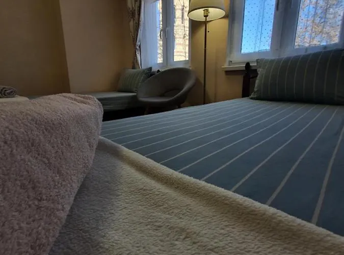 住宿加早餐酒店 Hancho - Old Center